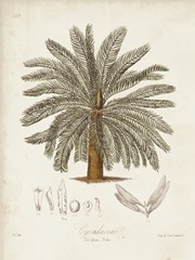 Antique Tropical Palm I
