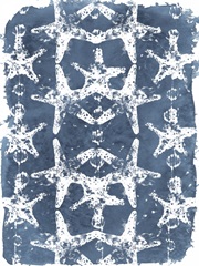 Batik Shell Patterns II