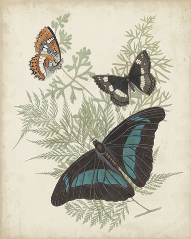 Butterflies and Ferns II