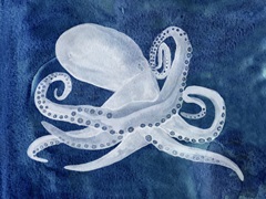 Cephalopod I