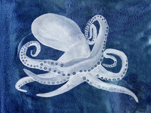 Cephalopod I