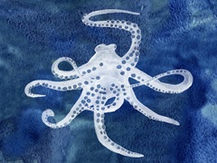 Cephalopod II