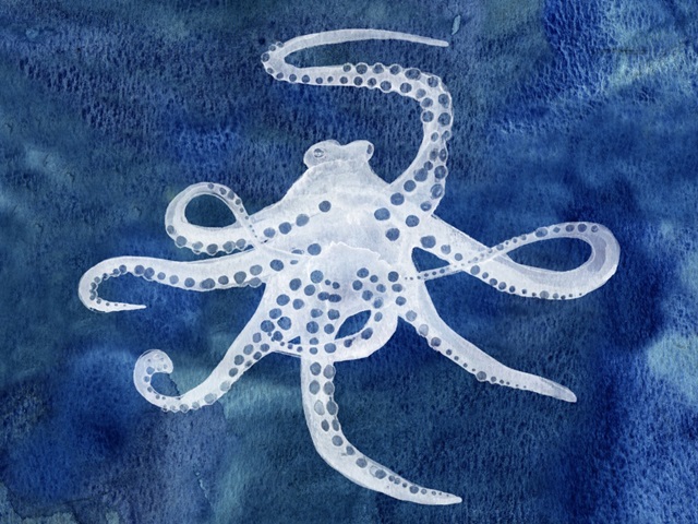 Cephalopod II