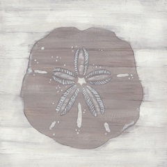 Driftwood Silhouette IV