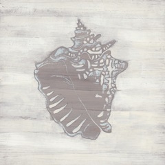 Driftwood Silhouette V