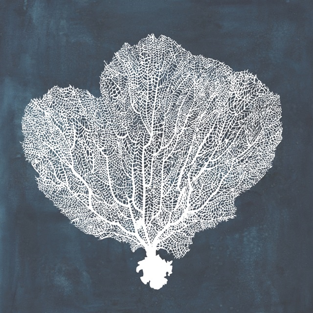 Inverse Sea Fan I