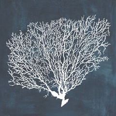 Inverse Sea Fan II