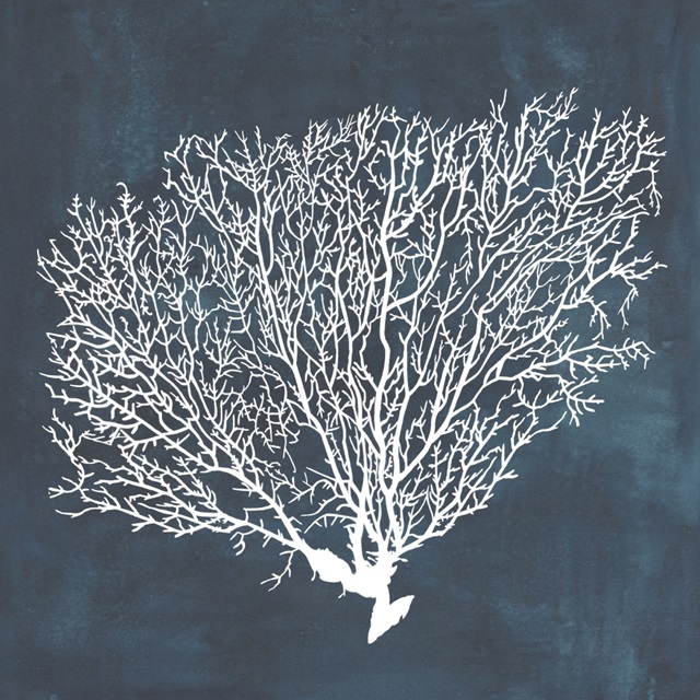 Inverse Sea Fan II