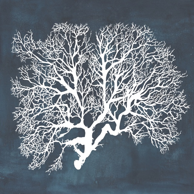 Inverse Sea Fan III