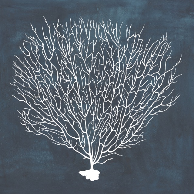 Inverse Sea Fan IV