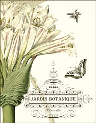 Jardin Botanique II