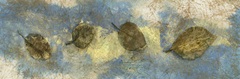 Leaf Banner I