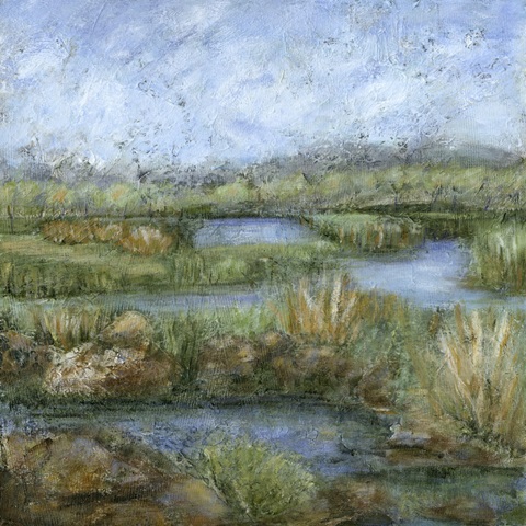 Marshland IV