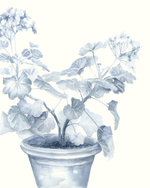 Blue Geranium I