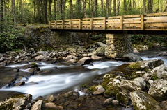Bridge and Cascade I