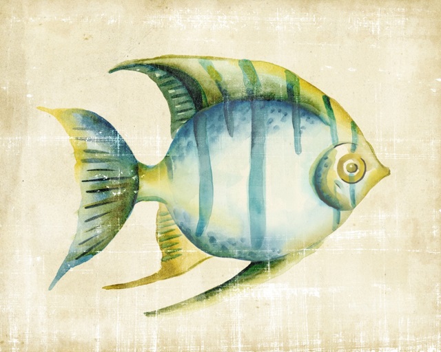 Aquarium Fish I