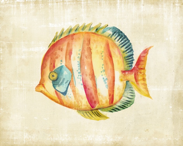 Aquarium Fish II