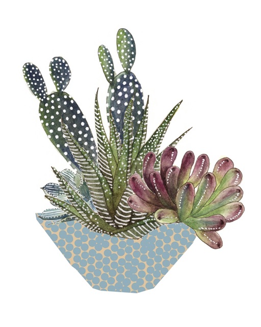 Cactus Arrangement I