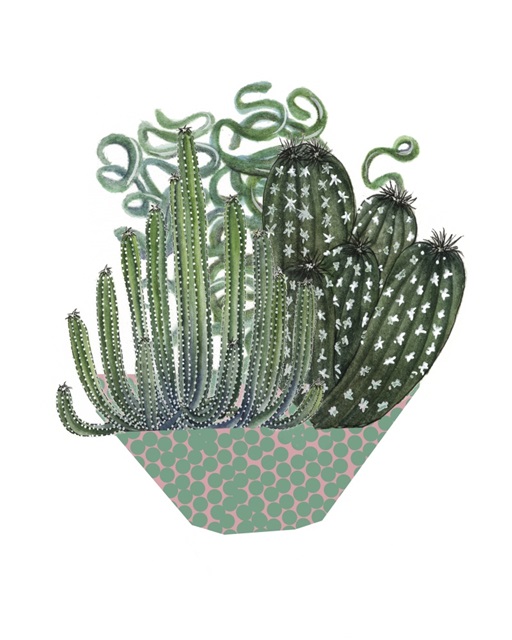 Cactus Arrangement II