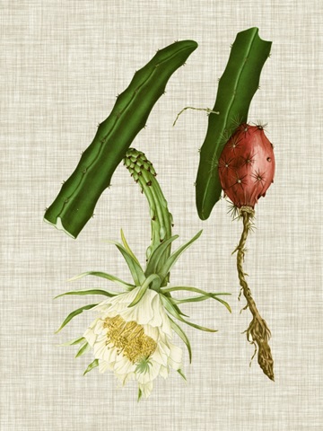 Elegant Tropicals II