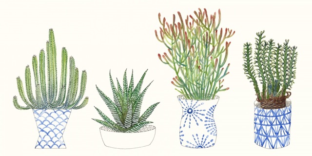 Four Succulents I