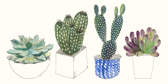 Four Succulents II