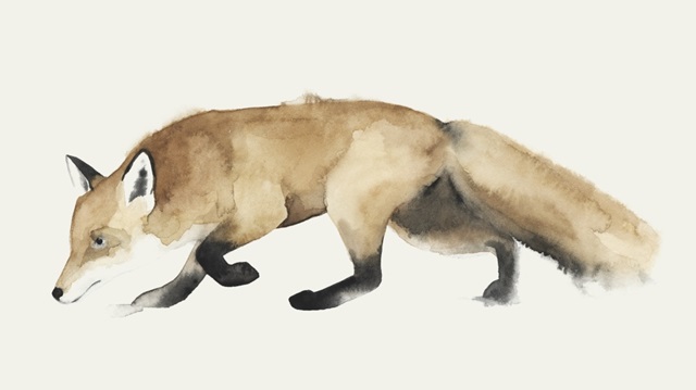 Fox Trot I