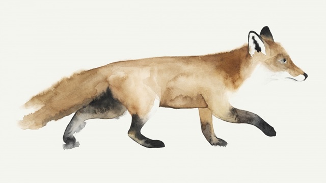 Fox Trot II