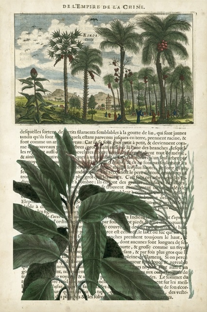 Journal of the Tropics I