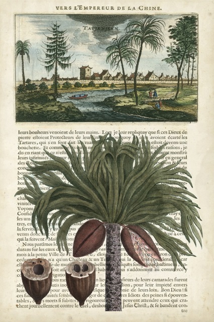 Journal of the Tropics IV
