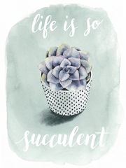 Life is Succulent I