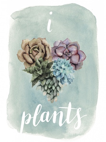 Life is Succulent II