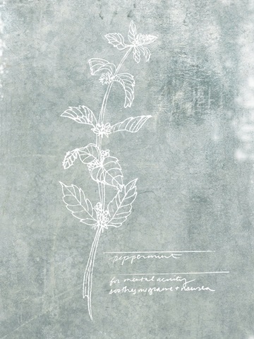 Essential Botanicals III