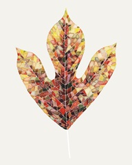 Fall Mosaic Leaf II
