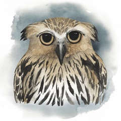 Greenwood Animals II