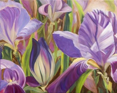 Iris Details I