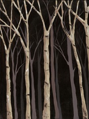 Midnight Birches I