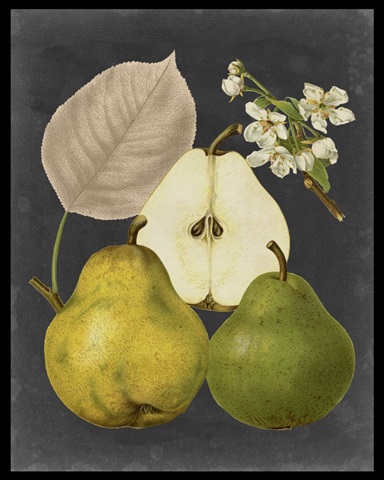 Midnight Harvest III