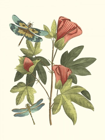 Midsummer Floral III