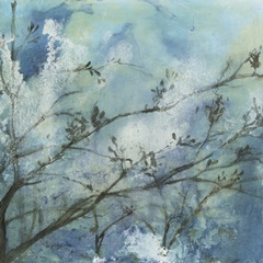 Moonlit Branches I