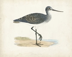 Morris Sandpiper III