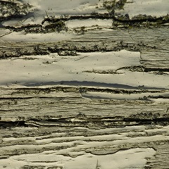 Nature's Textures VIII