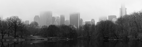 Panorama of NYC III
