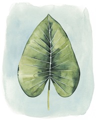 Paradise Palm Leaves III