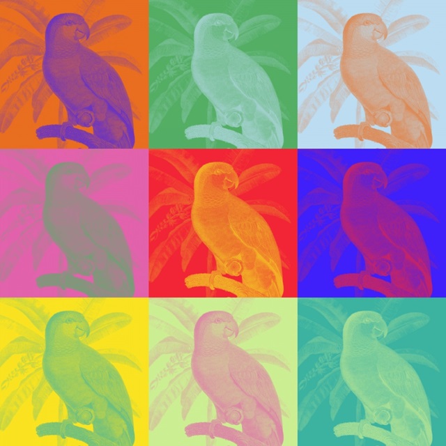 Parrot Party I
