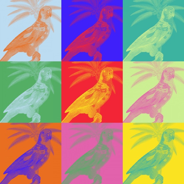 Parrot Party II