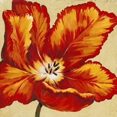 Parrot Tulip I