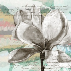 Pastel Magnolias I