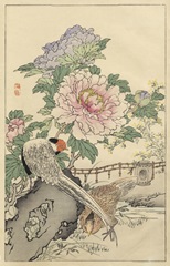 Pheasant and Peony