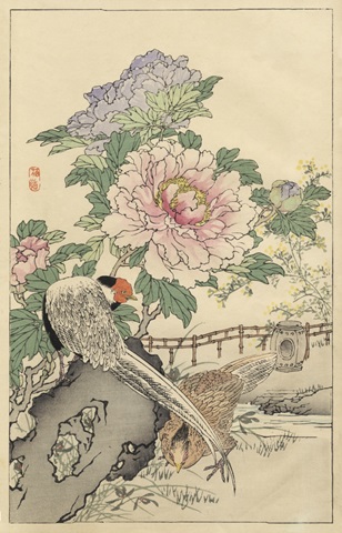 Pheasant and Peony